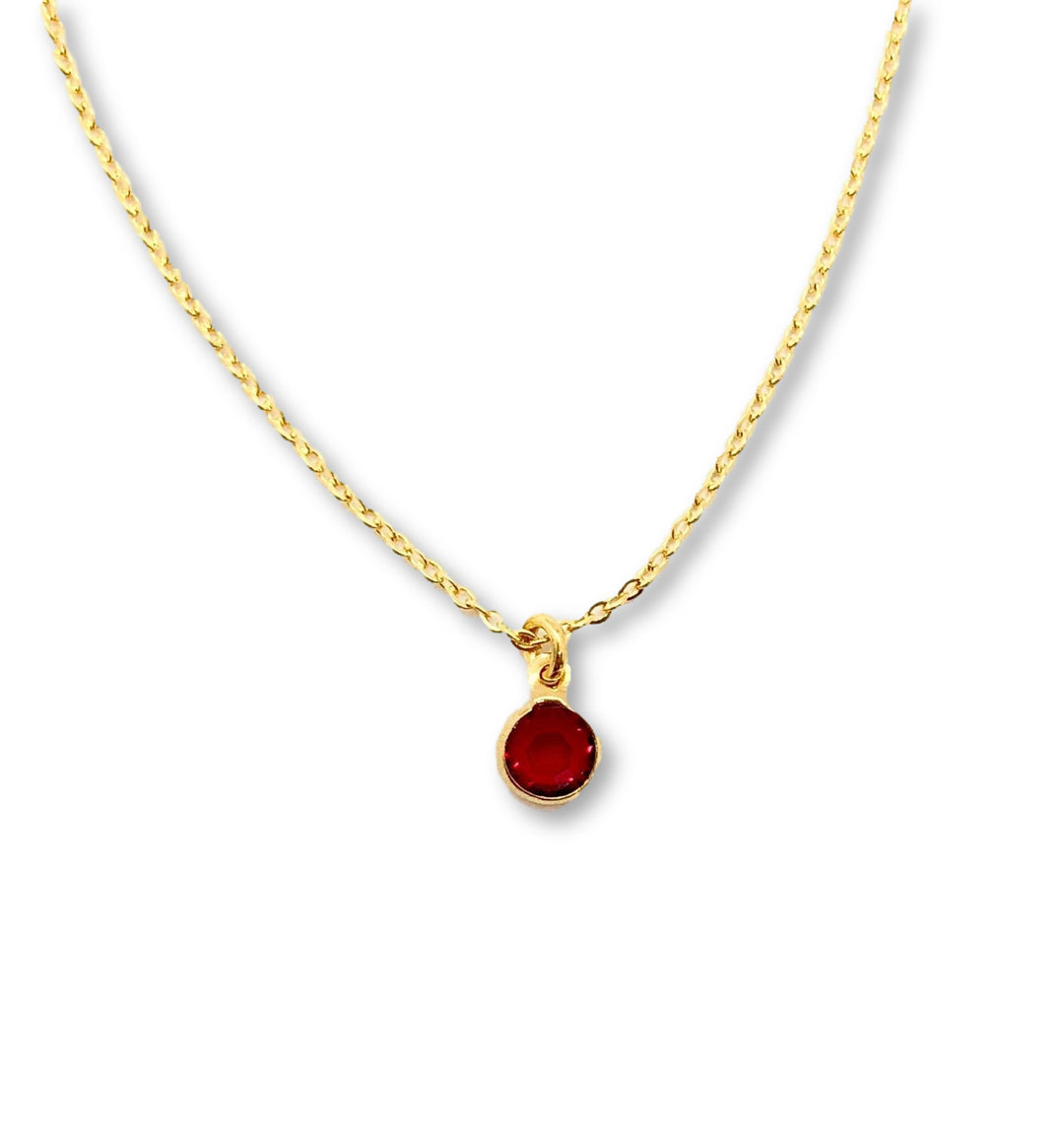 January Birthstone Necklace - AR TodayCharm Jewelry Company